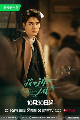 珠海专业的网站优化设计